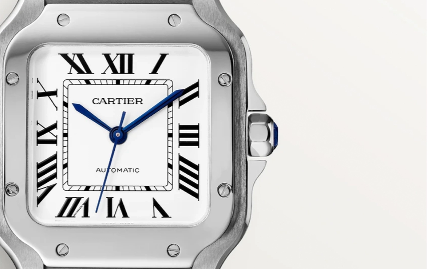 Cartier Santos WSSA0029 WatchProject 21 Shop
