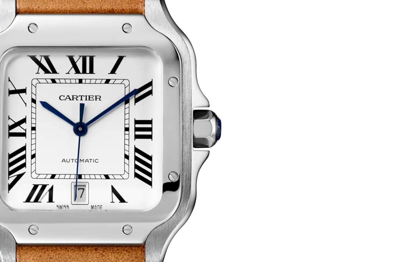 Cartier Santos WSSA0018 WatchProject 21 Shop
