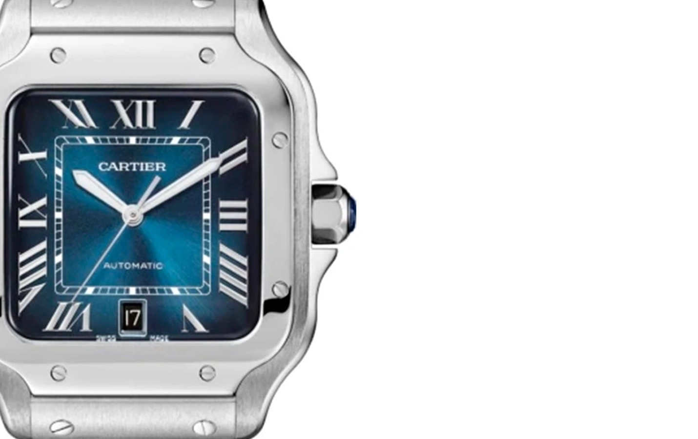 Cartier Santos WSSA0030 WatchProject 21 Shop