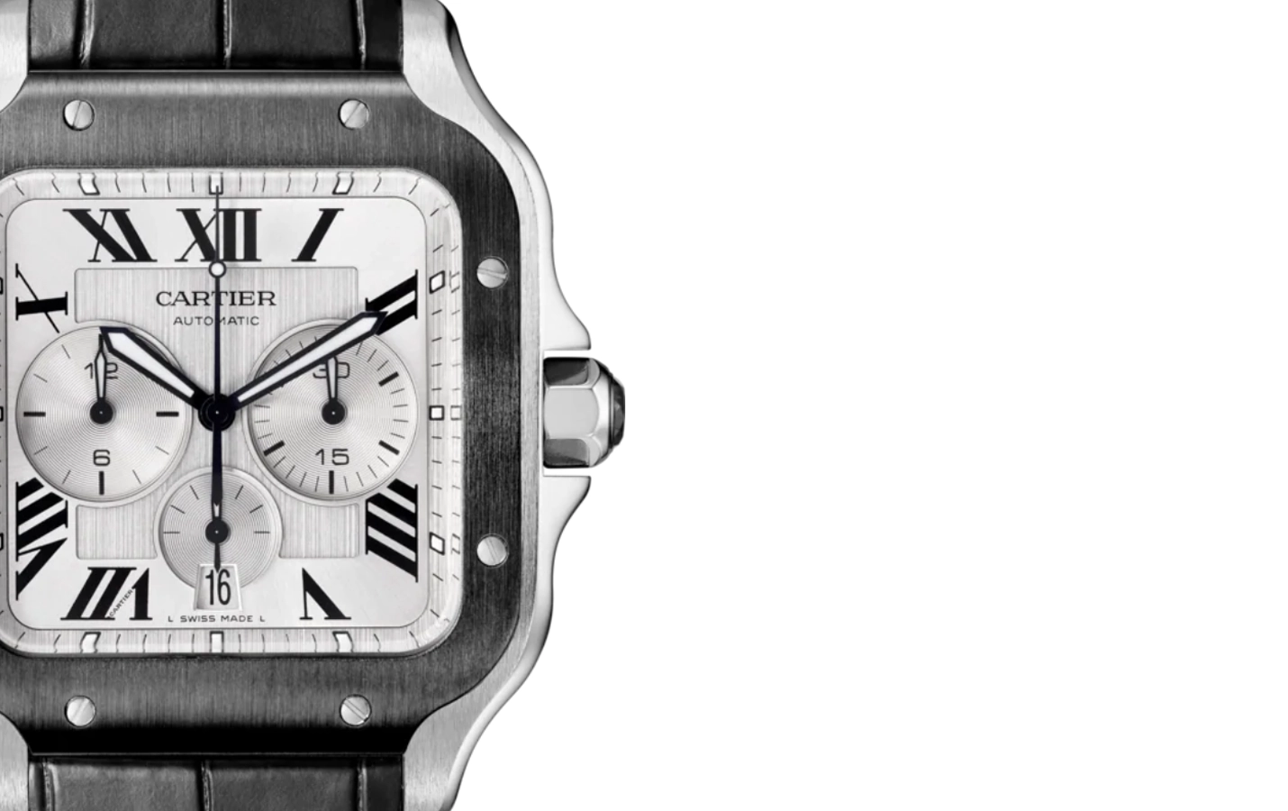 Cartier Santos WSSA0017 WatchProject 21 Shop