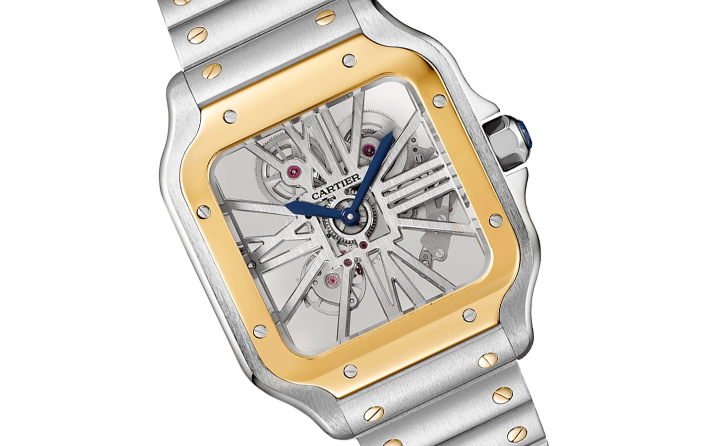 Cartier Santos WHSA0019 WatchProject 21 Shop