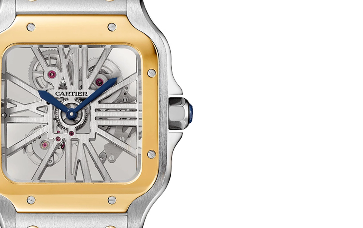 Cartier Santos WHSA0019 WatchProject 21 Shop