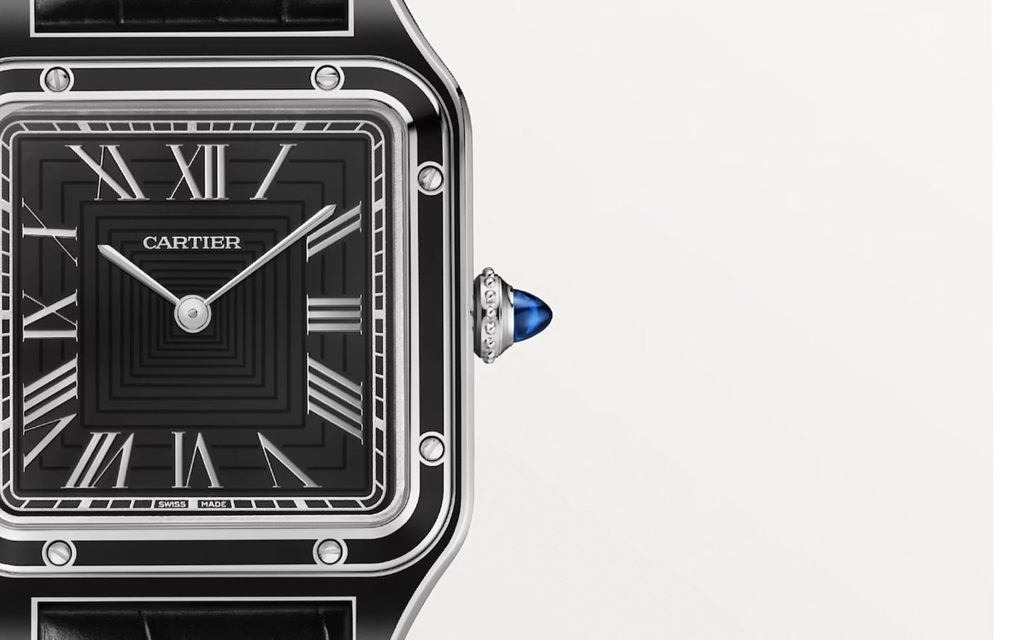 Cartier Santos WSSA0046 WatchProject 21 Shop