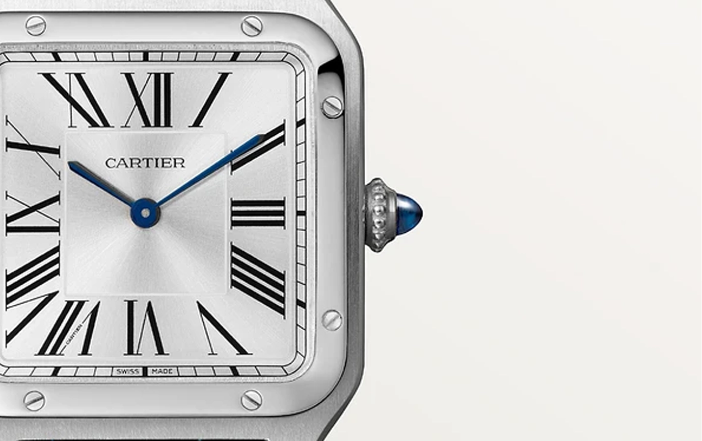 Cartier Santos WSSA0032 WatchProject 21 Shop