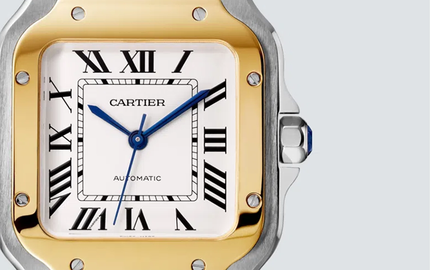 Cartier Santos W2SA0016 WatchProject 21 Shop