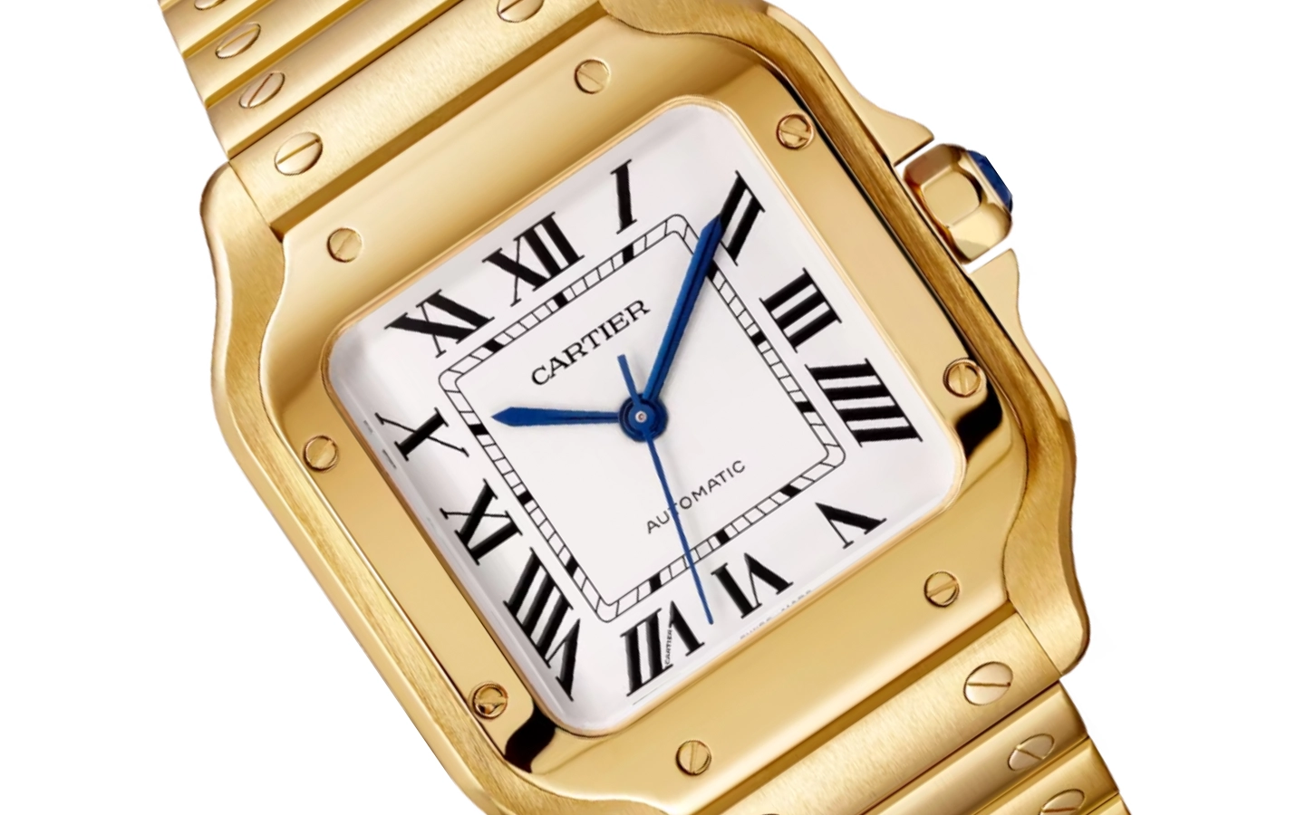 Cartier Santos WGSA0030 WatchProject 21 Shop