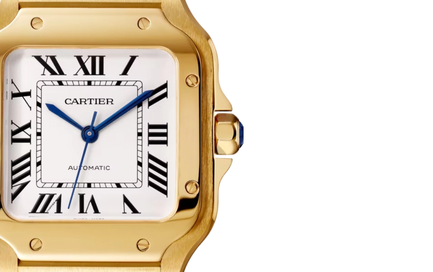 Cartier Santos WGSA0030 WatchProject 21 Shop