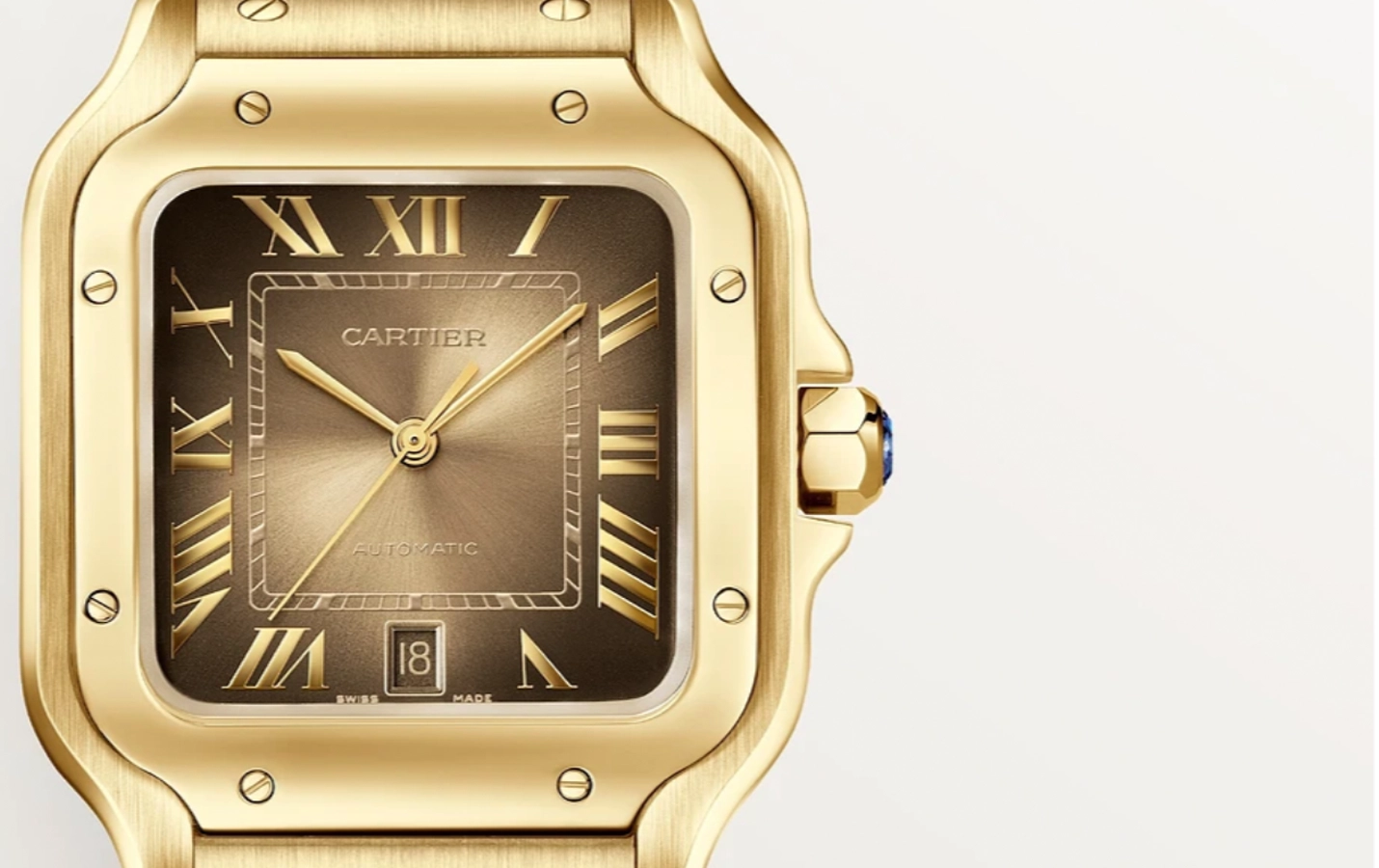 Cartier Santos 2024 WGSA0095 WatchProject 21 Shop