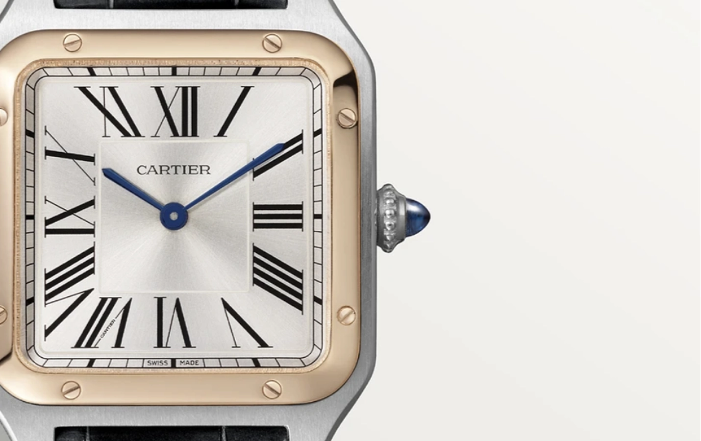 Cartier Santos W2SA0011 WatchProject 21 Shop