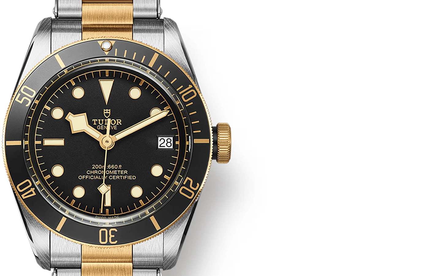 Tudor Black Bay M79733N-0008 WatchProject 21 Shop