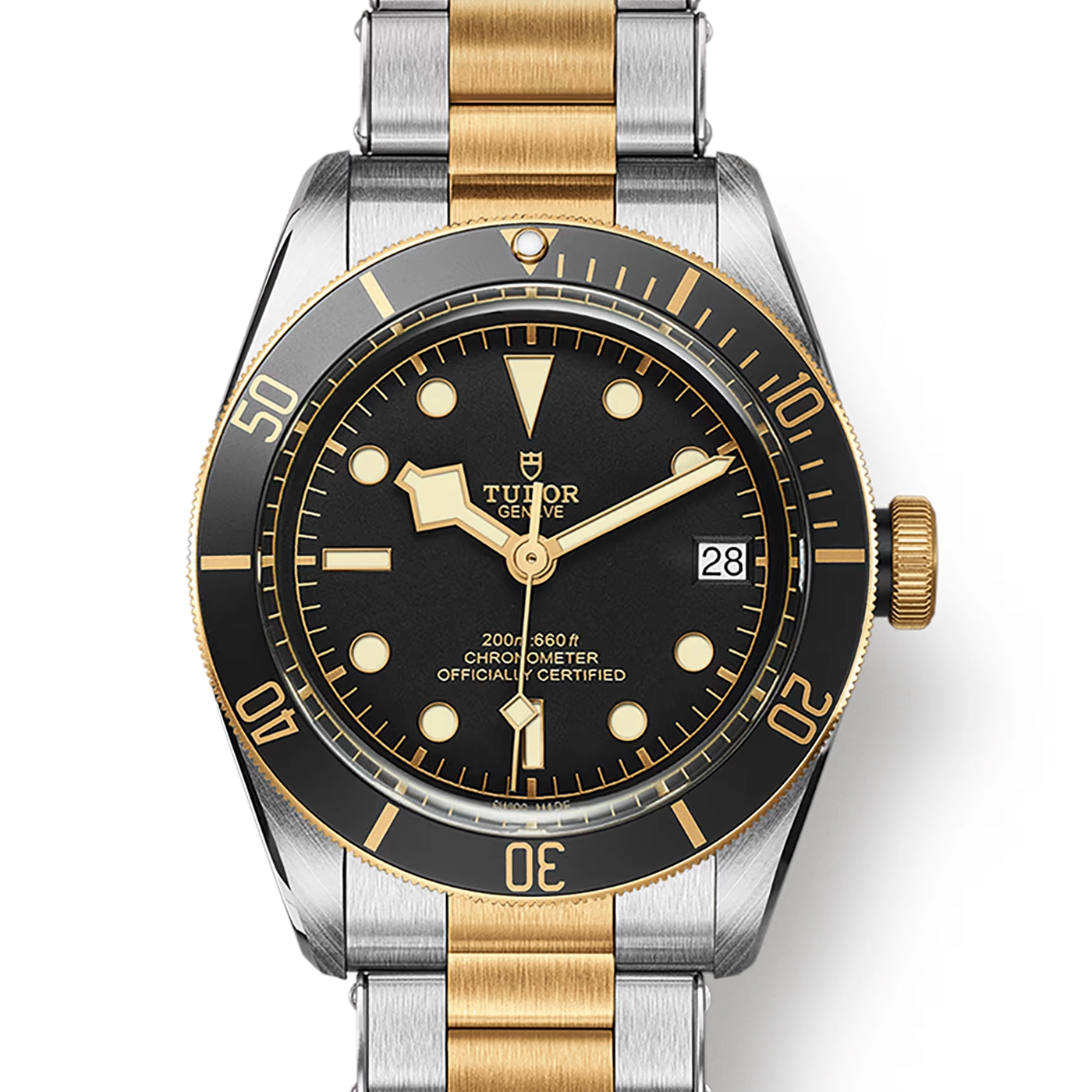 Tudor Black Bay