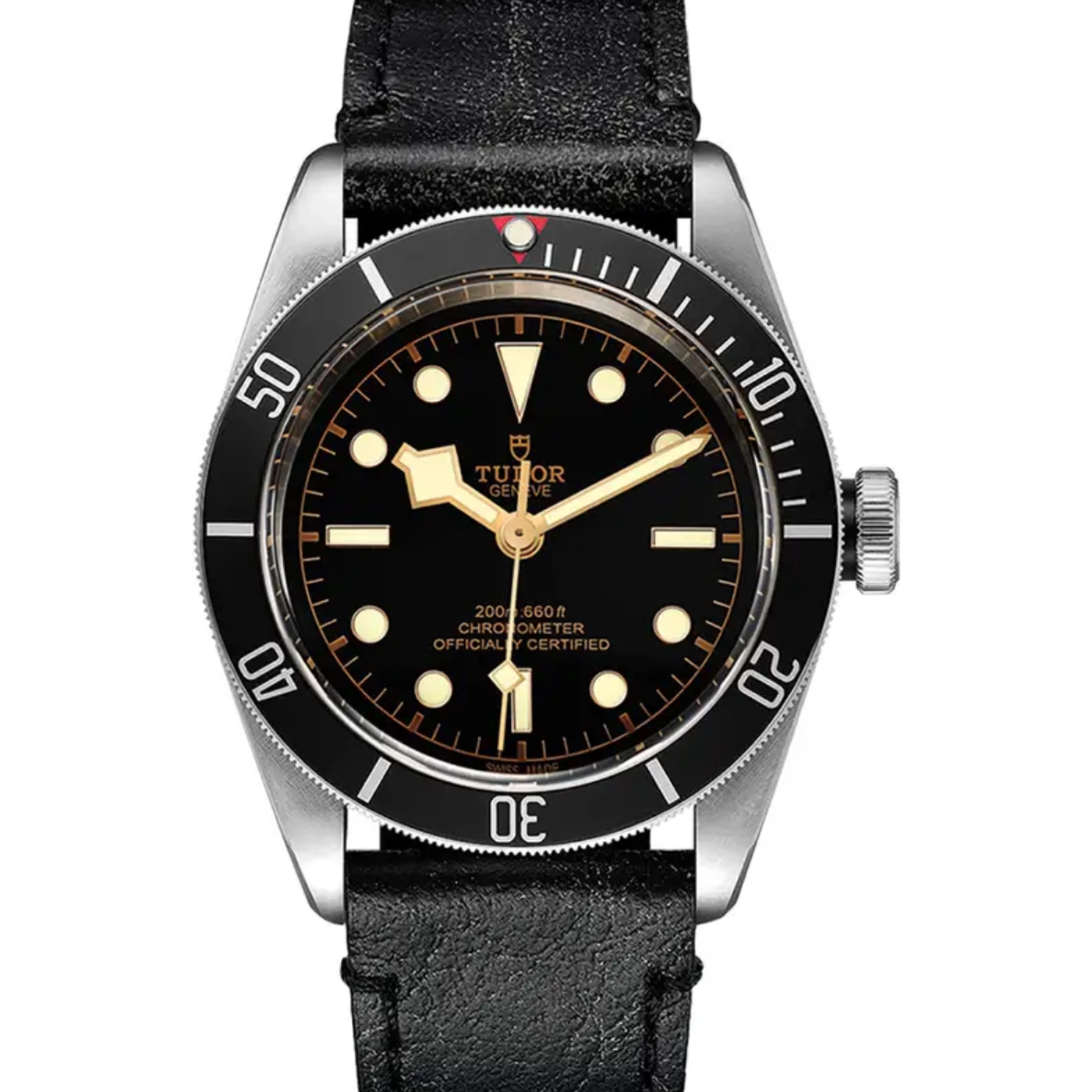 Tudor Black Bay