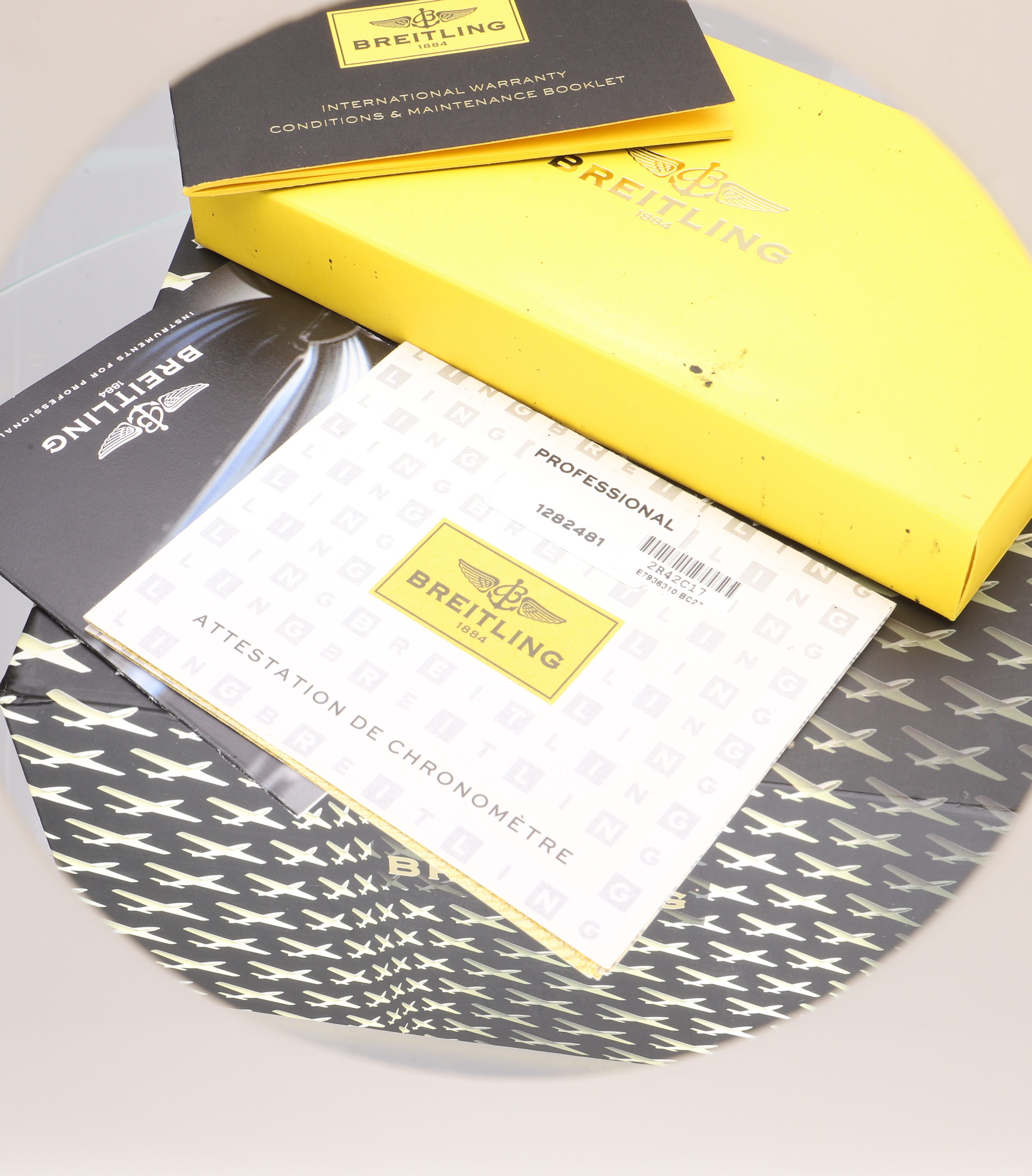 Breitling Professional