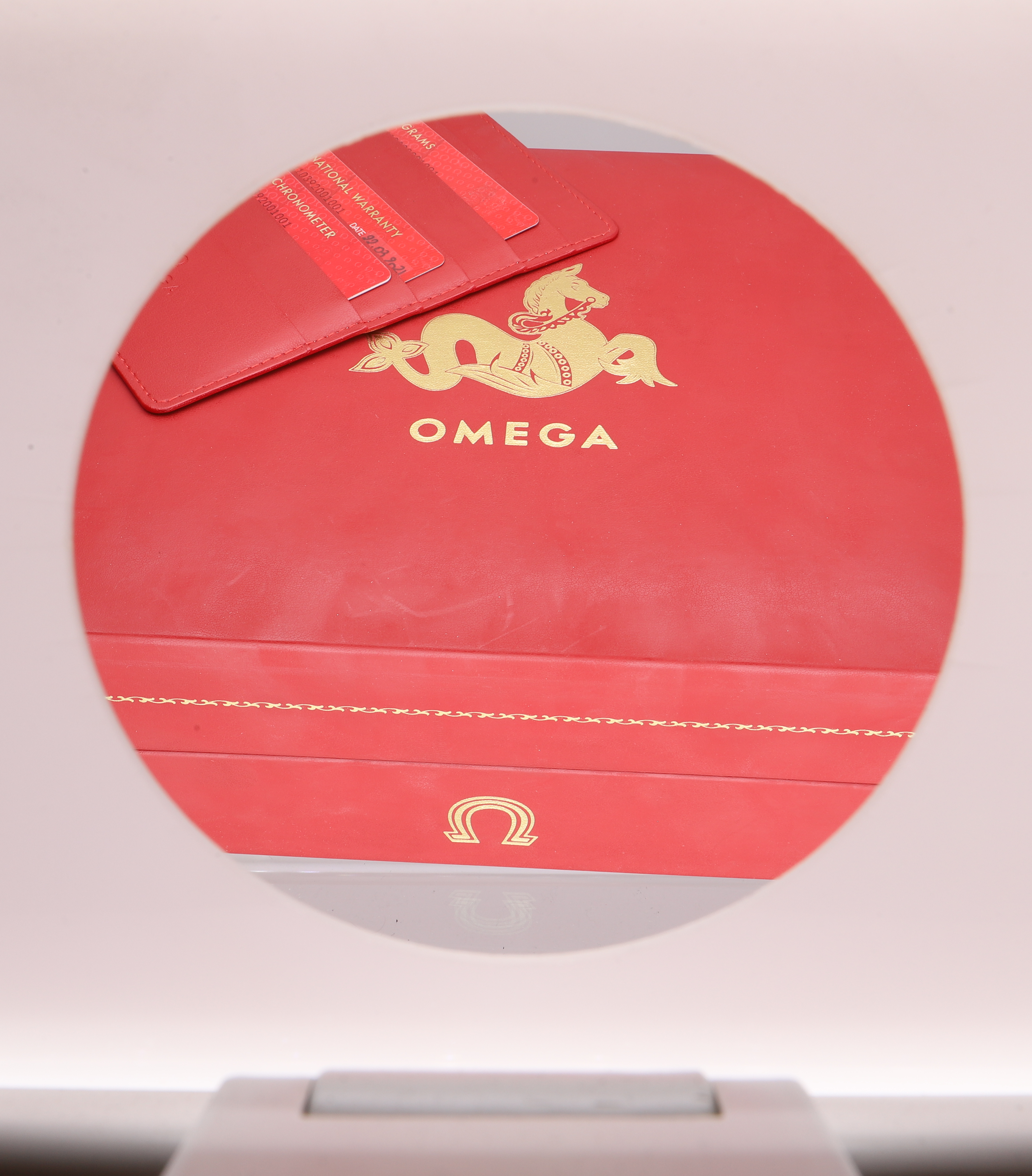 Omega Seamaster